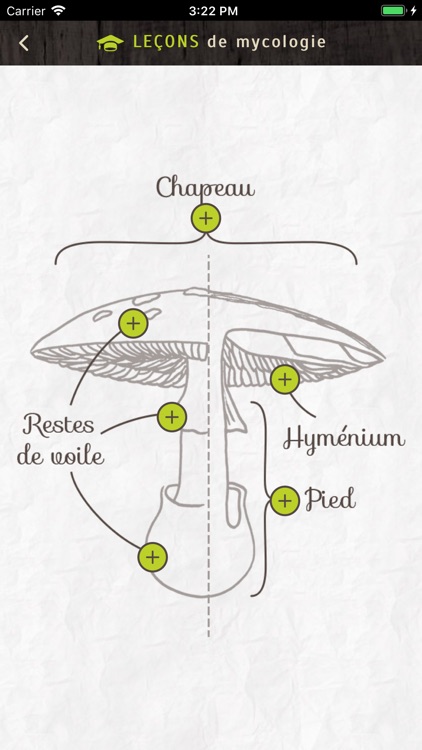 Déclic champi screenshot-3