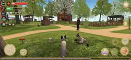 Game screenshot Cat Simulator 2020 mod apk