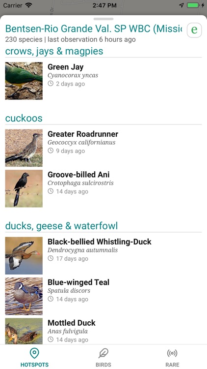 GoBird - Guide to Nearby Birds