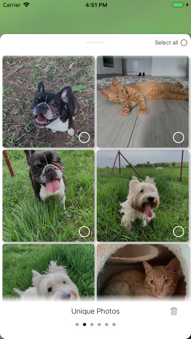 PicDot iPhone screenshot 3 - Photo & Video app