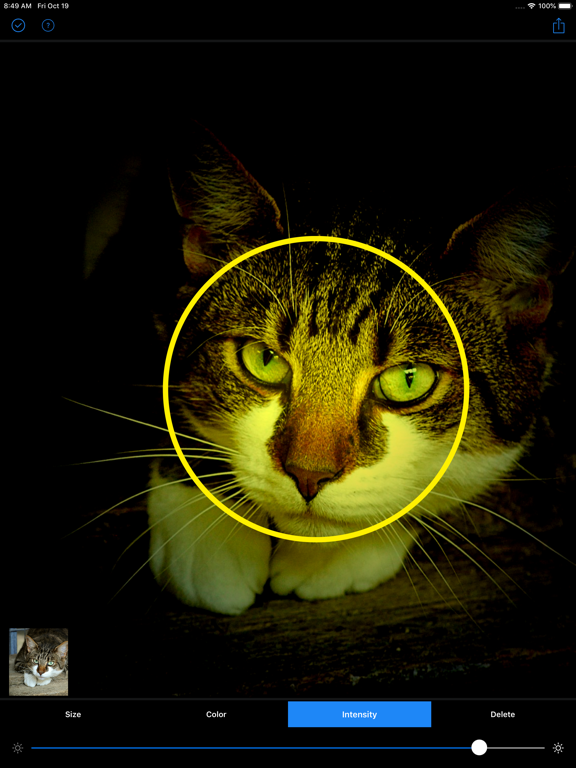 Dark Light Fx iPad screenshot 7 - Photo & Video app