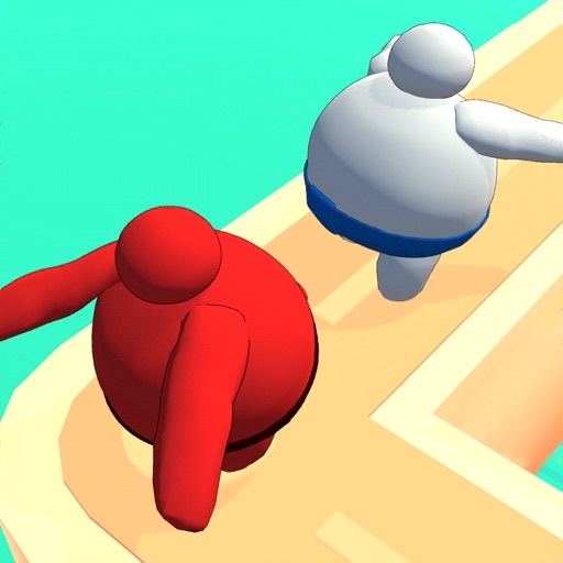 Sumo Maze 3D icon
