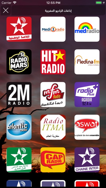 Arab Radios - الإذاعات العربية