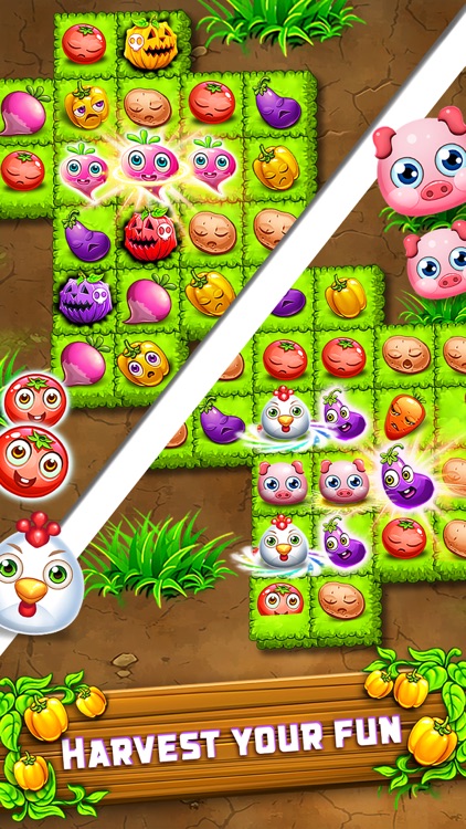 Garden Craze - Colorful Quest screenshot-3