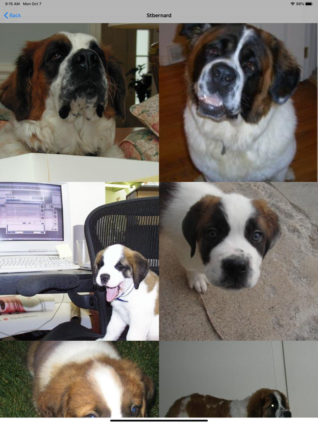 Dog Breed AI Classifier Image