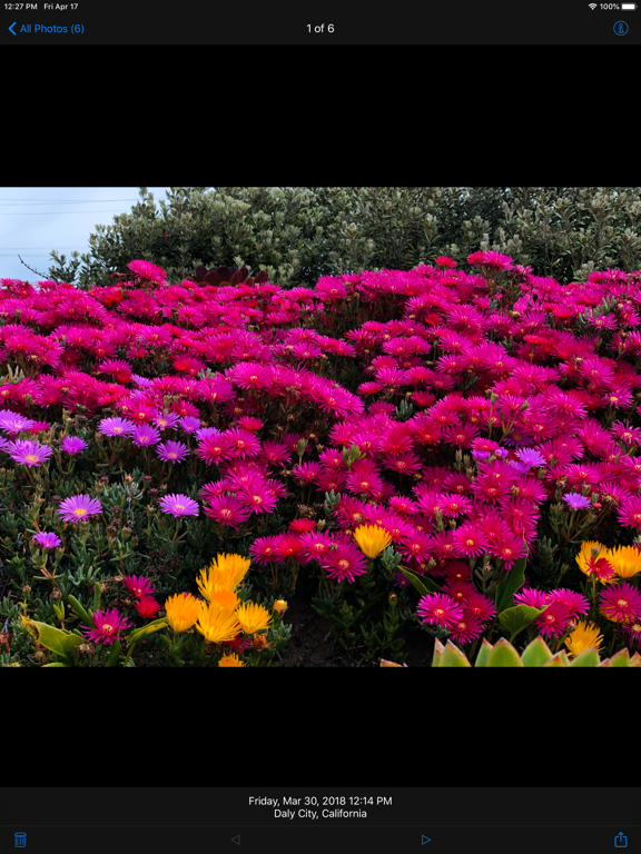 Photowerks: Smart Albums iPad screenshot 9 - Photo & Video app