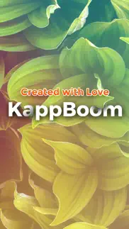 kappboom - cool wallpapers problems & solutions and troubleshooting guide - 2