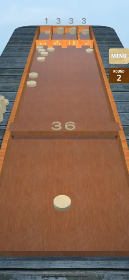 Game screenshot Dutch Shuffleboard mod apk