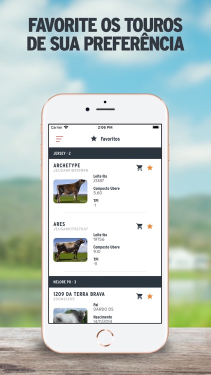 Semex Brasil screenshot-5