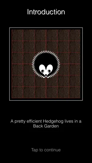 Hedgehog Gardens - Logic Games screenshot 1