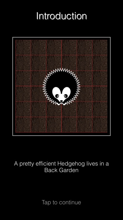 Hedgehog Gardens - Logic Games