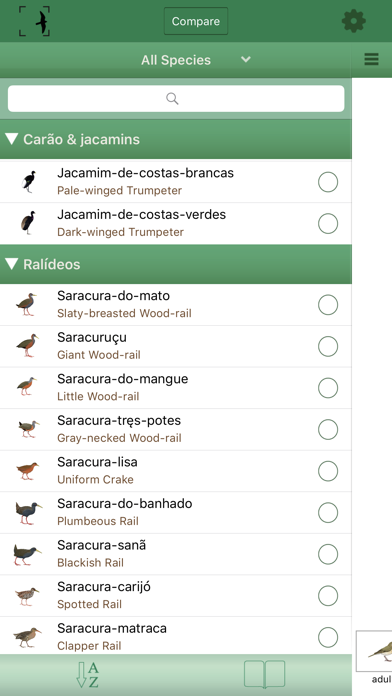 Birds of Brazil Screenshot