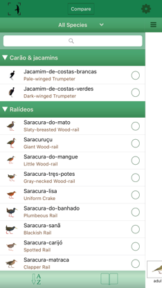 Birds of Brazil screenshot 5