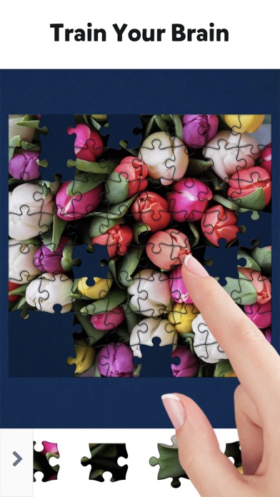 Jigsaw Puzzles！ screenshot 2