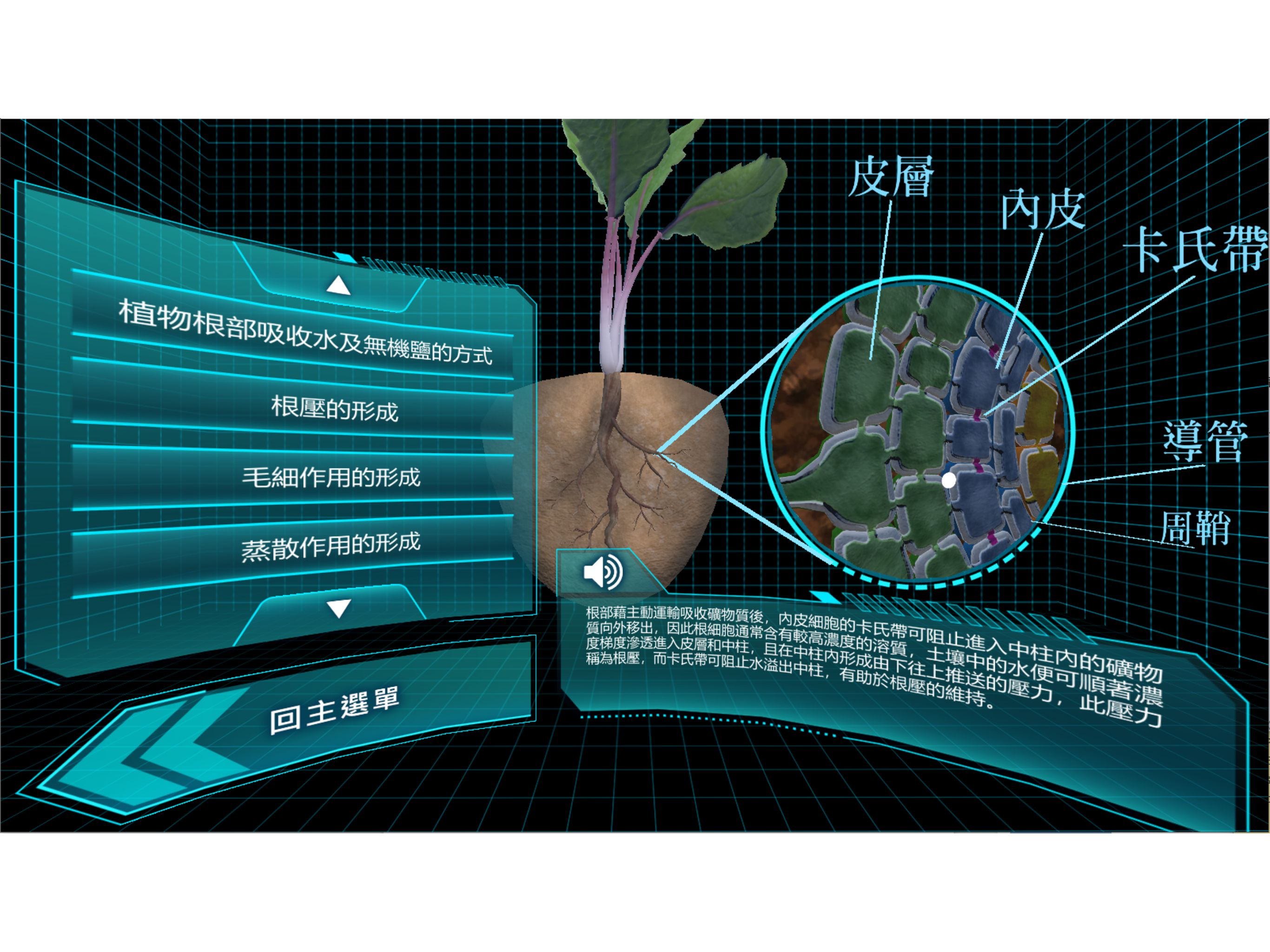 人體泌尿、生殖系統與植物水及無機鹽的運輸