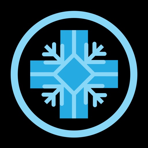 Frost @TheMet iOS App