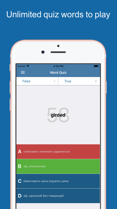 Russian Dictionary Pro Screenshot