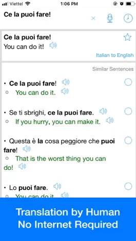 Game screenshot Italian Translator Offline apk