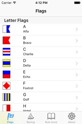Game screenshot iRegatta Flags mod apk