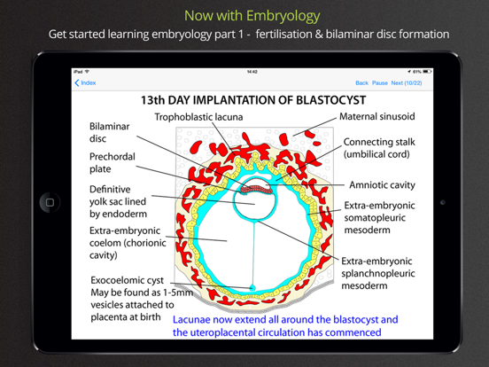 Screenshot #6 pour Anatomy Lectures and MCQs