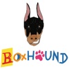 Boxhound