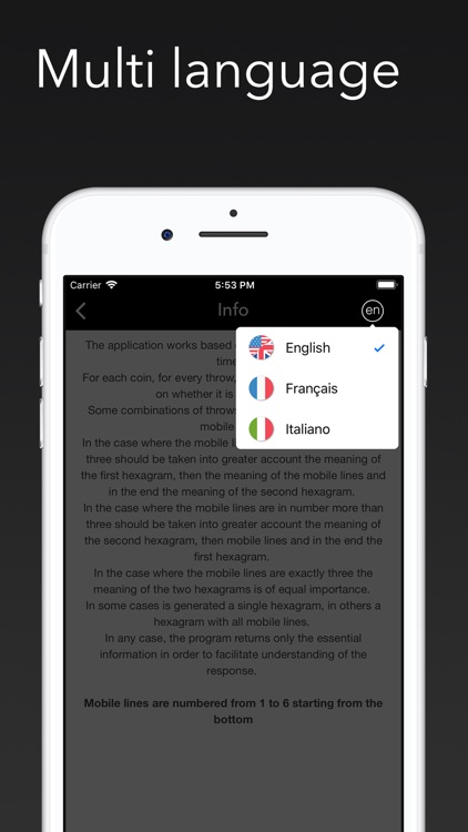 I Ching the Classic of Changes screenshot-4