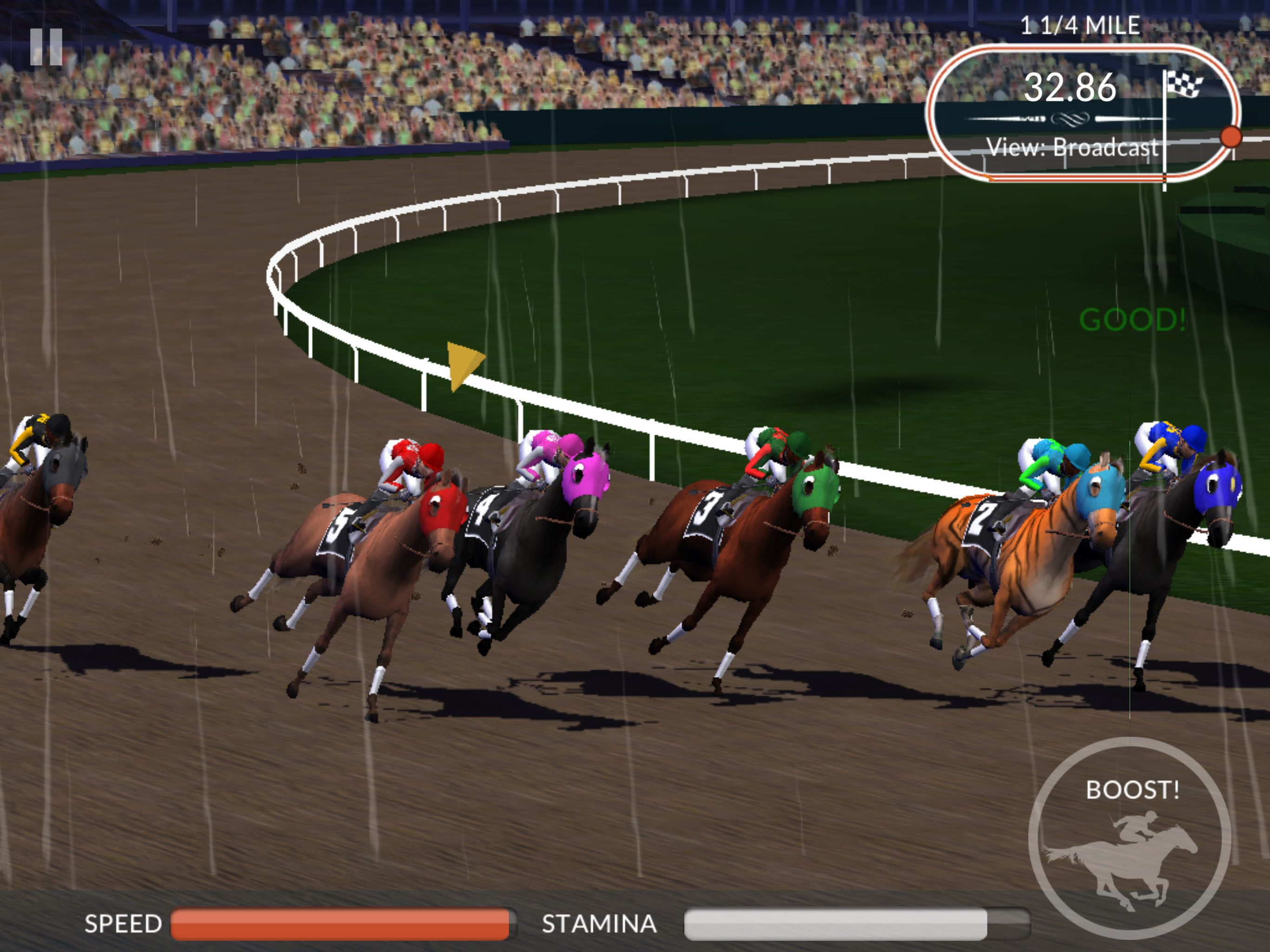 Photo Finish Horse Racing