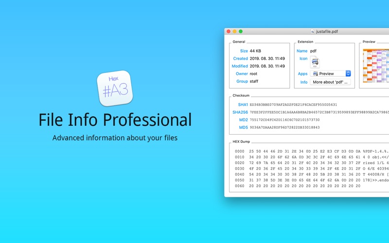 Screenshot #1 pour File Info Professional
