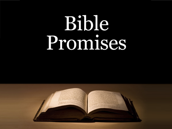 Bible Promises iPad screenshot 5 - Reference app