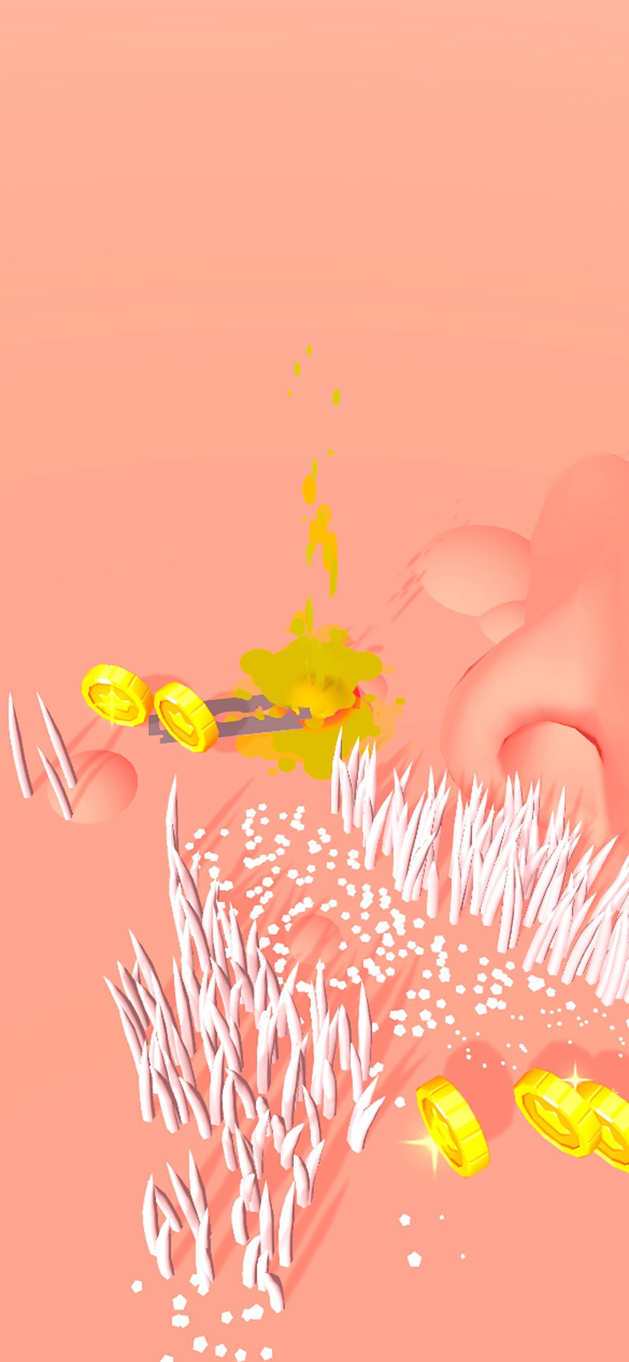 Shave it! 3D