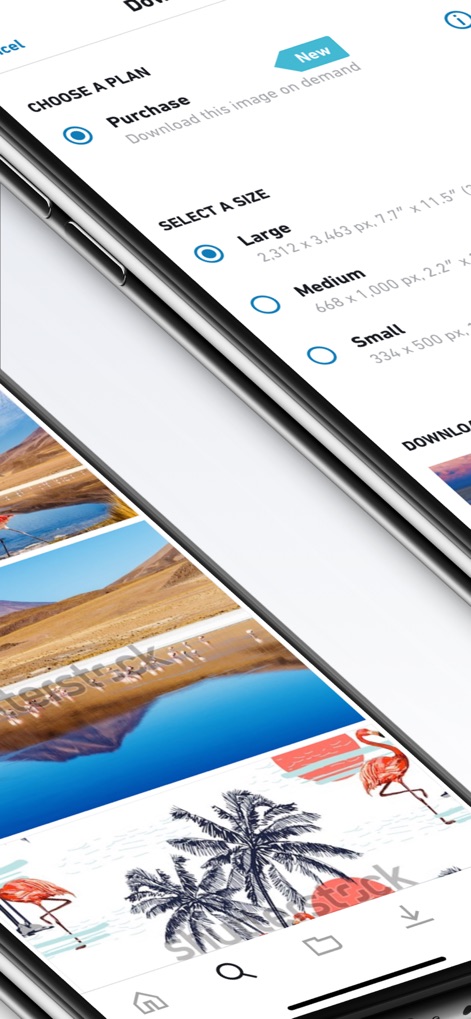 Shutterstock - Stock Photos - L'app offre diverse opzioni di acquisto e la possibilità di scegliere la dimensione desiderata per l'immagine, assicurando flessibilità nell'approvvigionamento dei contenuti.