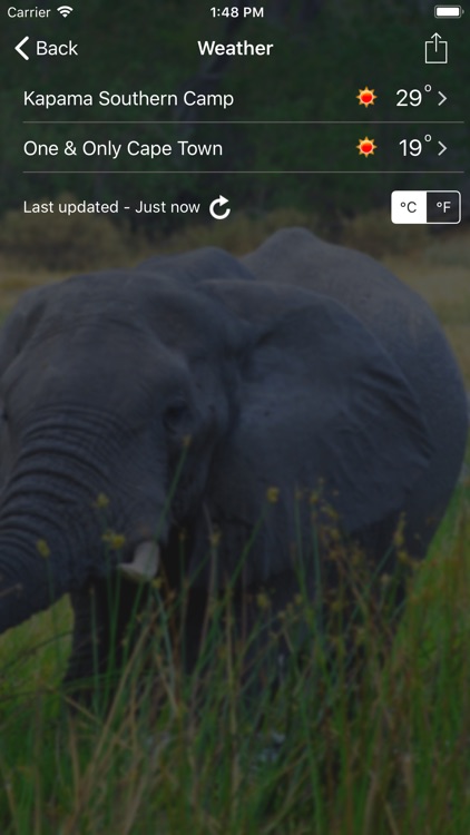 Black Tomato screenshot-4