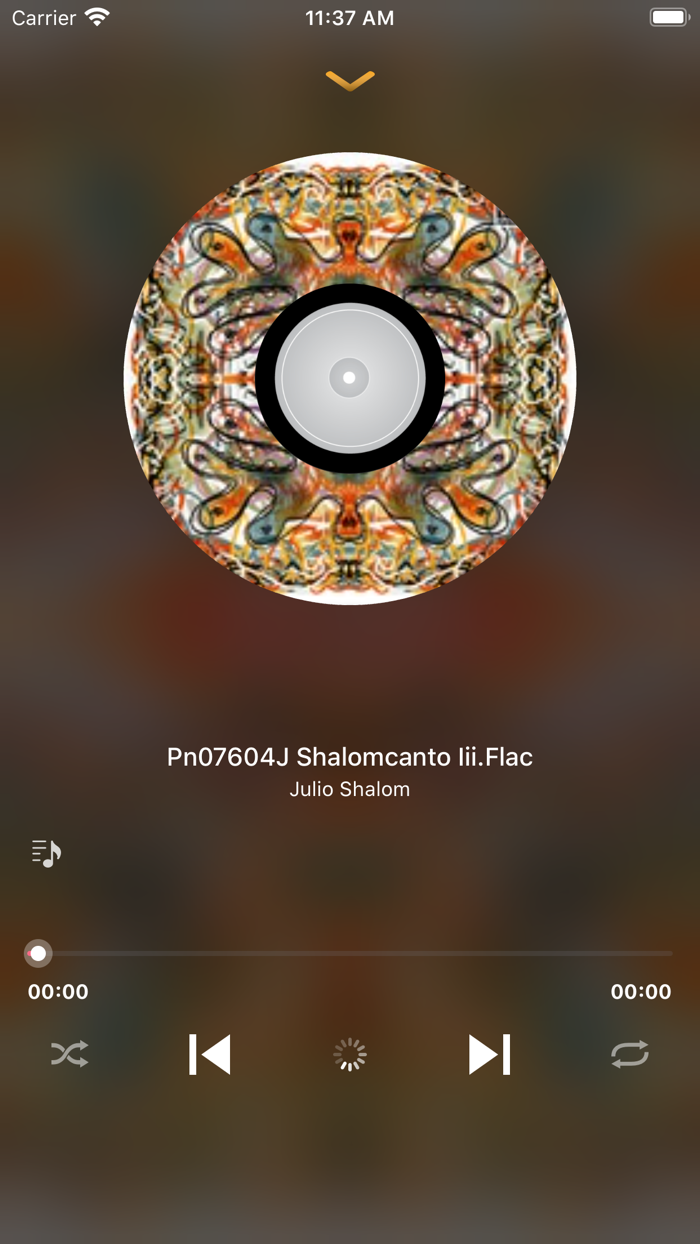 Offline Music Music Download