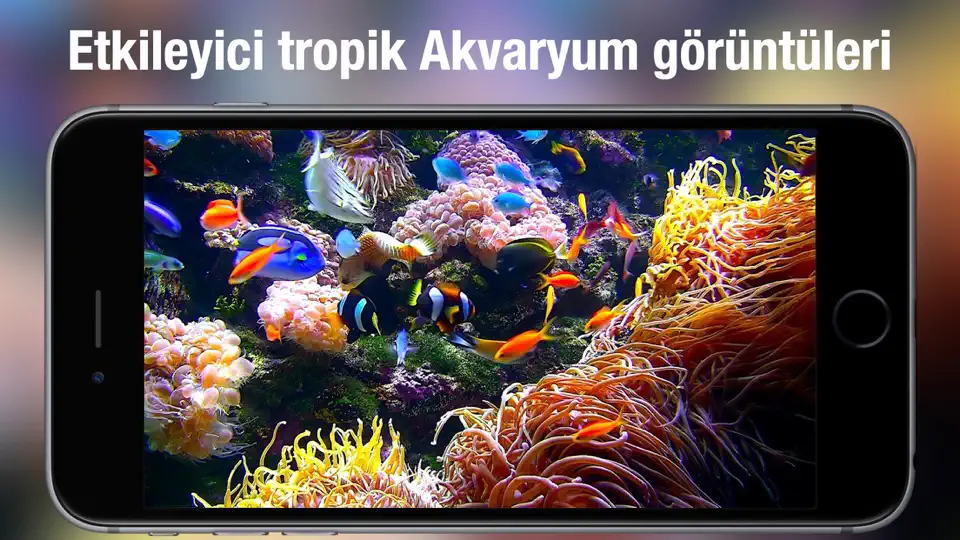 Akvaryum Canlı Duvar Kağıtları iPhone Ekran Görüntüsü 2