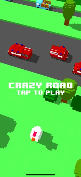 Game screenshot Crazy Road Game mod apk