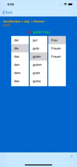Game screenshot German Adjective Endings hack