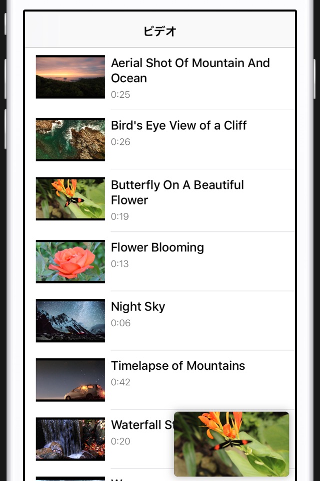 Videoxy screenshot 3