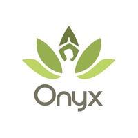 Onyx Yoga Studio pour PC