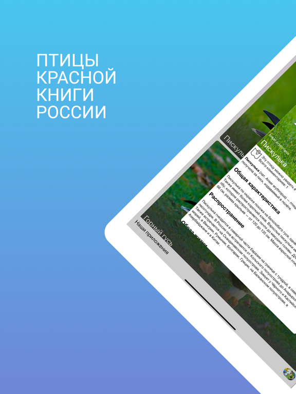 Птицы Красной Книги России