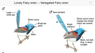 Morcombe & Stewart Guideのおすすめ画像5