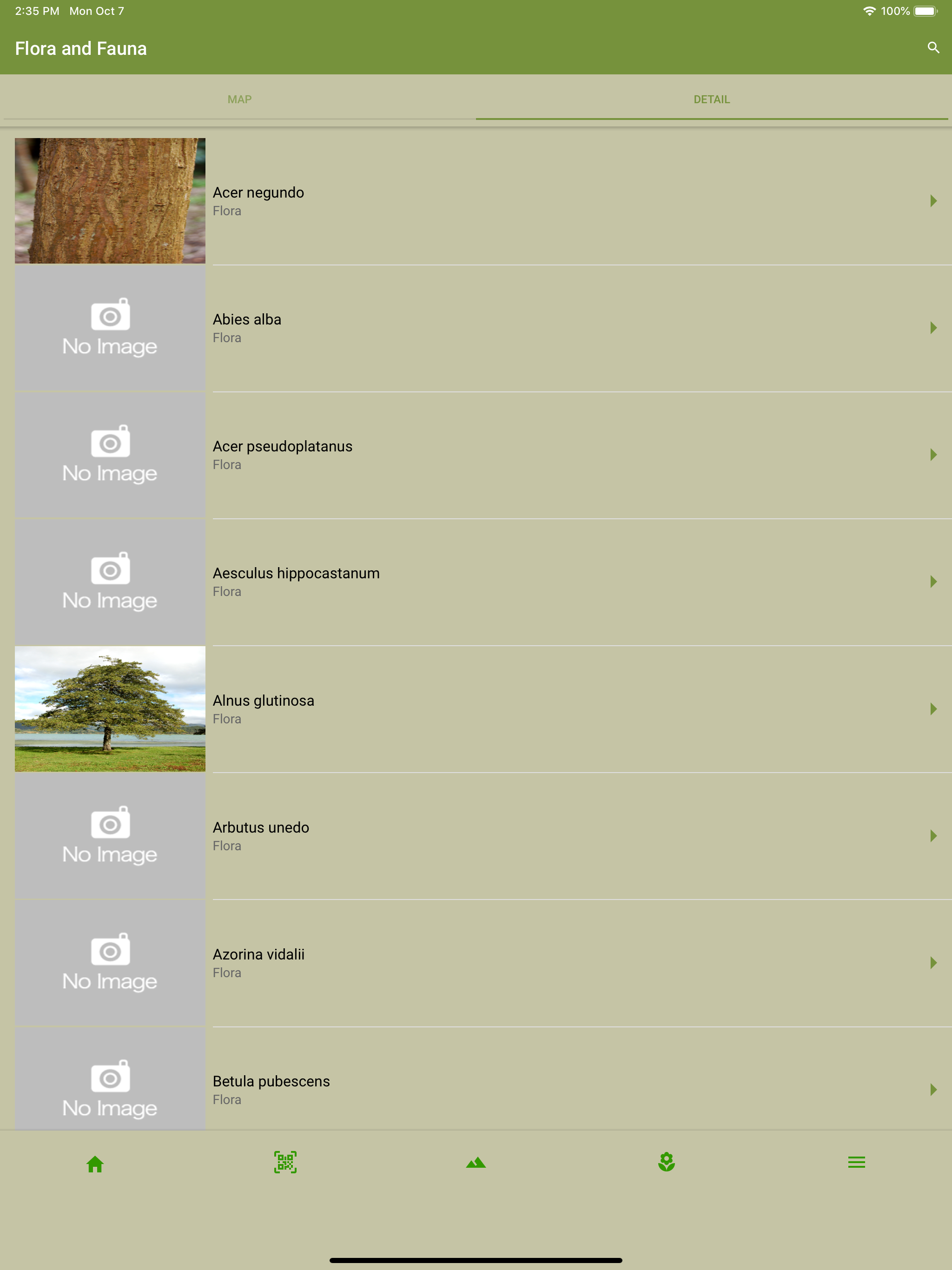 Azores Forest Parks screenshot 13
