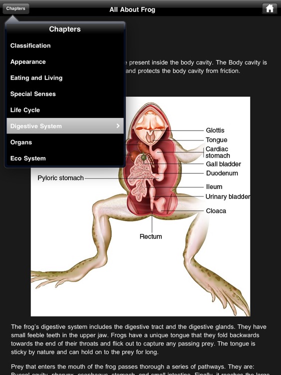 Frog Dissection screenshot-4