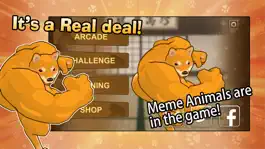 Game screenshot Fight of Animals-Solo Edition apk