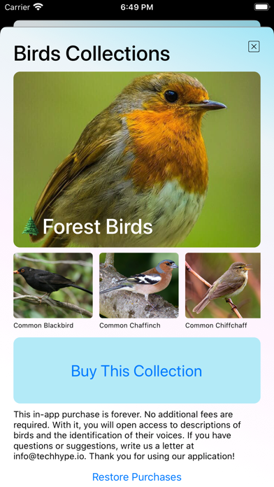 Bird Song/Photo Identification Screenshot