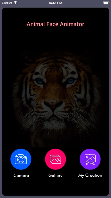 Animal Face Animation