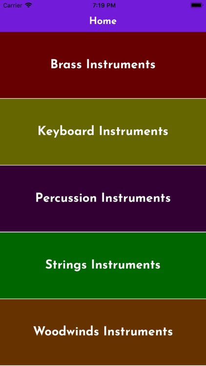 Kidz learn musical instruments