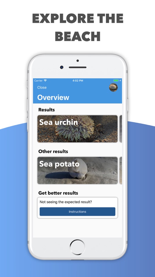 Beach Detector - Your guide - 1.3.1 - (iOS)