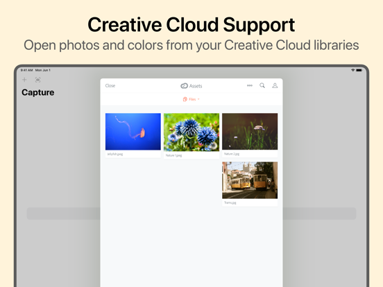 Colordrop: Color Picker iPad screenshot 5 - Developer Tools app