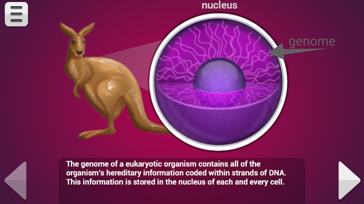 Biology Mitosis & Meiosis Pro