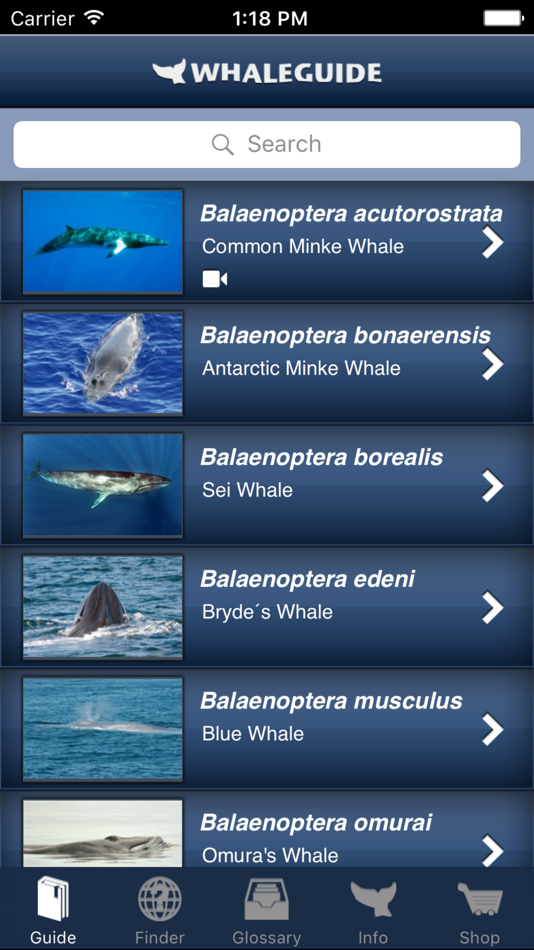 #1. WhaleGuide for iPhone (iOS) بواسطة: Ralf Kiefner